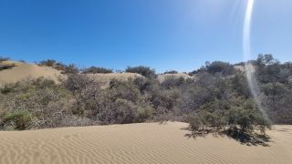 2023-GC--Mapalomas dunas-S123-115.jpg